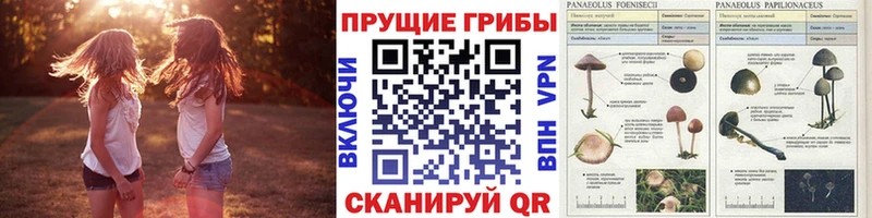 Псилоцибиновые грибы мухоморы  Купить закладки  Углич 